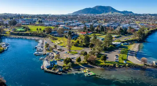 Professional Services